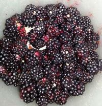 Blackberries and Lead Generation… Really?