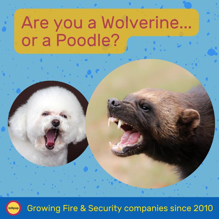 As a Fire & Security business owner, are you a Poodle……